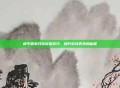 和平精英开镜设置技巧，提升游戏表现的秘籍