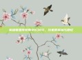 英雄联盟传奇数字6300，玩家的荣耀与回忆