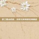 梦三国太史慈，历史与传奇的完美融合