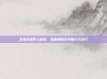 王者荣耀野人解说,深度解析游戏魅力与技巧