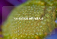 PUBG游戏昵称查询     大全