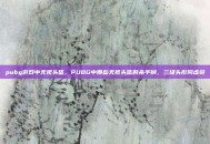 pubg游戏中无视头盔，PUBG中那些无视头盔的杀手锏，三级头形同虚设