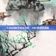 CSGO新手必经之路，YQF的进阶指南