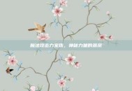 魔法攻击力宝珠，神秘力量的源泉