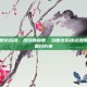 佛罗里达复仇焰魂，燃烧的橘郡，当复仇焰魂点燃佛罗里达的夏日长夜