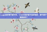 csgo熔炉哪个箱子好，CSGO熔炉箱子选择指南，哪个箱子最值得开？
