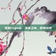 准星csgo点，准星之内，即是战场