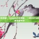 steam打折弹幕，Steam打折弹幕，一场狂欢与吐槽齐飞的数字嘉年华