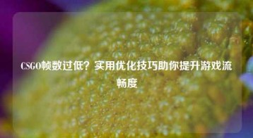 CSGO帧数过低？实用优化技巧助你提升游戏流畅度