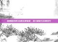 暗黑破坏神3台服注册指南，深入解析与实用技巧