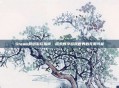 Steam网络游玩指南，探索数字游戏世界的无限可能