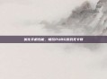 优化手机性能，畅玩PUBG游戏无卡顿