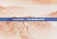 CSGO游戏技巧，有效避免磨损的终极指南