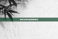 神龙之翼与库奇的传奇