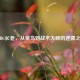 PUBG长老，从菜鸟到战术大师的逆袭之路