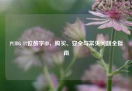 PUBG 17位数字ID，购买、安全与常见问题全指南