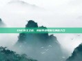 DNF领主之塔，揭秘等级限制与神秘入口
