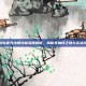 冒险岛夜光法师技能深度解析，揭秘其独特之处与实战应用