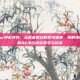 pubg ae冲击特效，从屏幕震动到视觉盛宴，拆解绝地求生中的AE冲击特效美学与技术