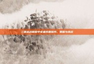 三国志战略版中老者问题探究，策略与挑战