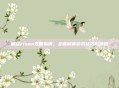 崛起risen攻略指南，全面解析游戏技巧与策略