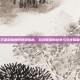 王者荣耀棘柯视频揭秘，游戏背后的故事与文化探秘
