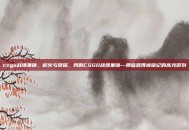 csgo战绩集锦，枪火与荣耀，我的CSGO战绩集锦—那些值得被铭记的高光时刻