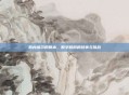 斯内维尔的账本，数字背后的故事与挑战