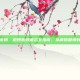 微博忘记密码，微博密码遗忘全指南，从解码困境到从容重置