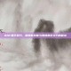 DNF霸王契约，解锁新技能与增强角色实力的秘诀