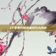 CF手游升降装备技巧大揭秘