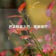 逆战魅蓝之刃，暗夜锋芒