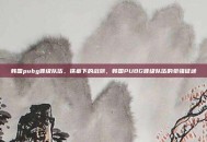 韩国pubg晋级队伍，铁幕下的战旗，韩国PUBG晋级队伍的豪强征途