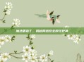 魔法盾补丁，揭秘网络安全的守护神