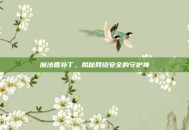魔法盾补丁，揭秘网络安全的守护神