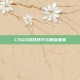 CSGO游戏技巧与趣味集锦