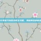 CSGO非官方钥匙获取全攻略，揭秘背后的秘密途径