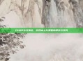 PUBG中文弹窗,游戏本土化策略的探索与实践