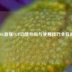LOL新版TGP功能升级与使用技巧全指南