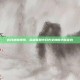 皎月皮肤嫦娥，英雄联盟中月光女神的华丽变身