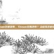 steam衣服消失，Steam衣服消失？当虚拟衣橱成谜