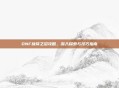 DNF抉择之沼攻略，深入探索与技巧指南
