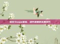 优化Steam体验,提升速度的实用技巧