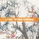 CF板枪，现代战场上的精准利器