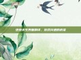 绝地求生界面翻译，游戏沟通的桥梁