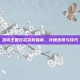 洛克王国灯芯获取指南，详细步骤与技巧