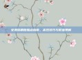 女漫游刷图加点指南,高效技巧与职业理解