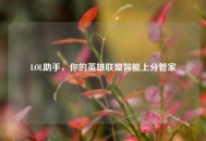 LOL助手，你的英雄联盟智能上分管家