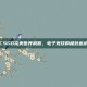 CSGO完美世界机服，电子竞技的极致追求