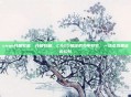 csgo开箱牧童，开箱牧童，CSGO赌徒的少年牧歌，一场虚拟暴富的幻梦